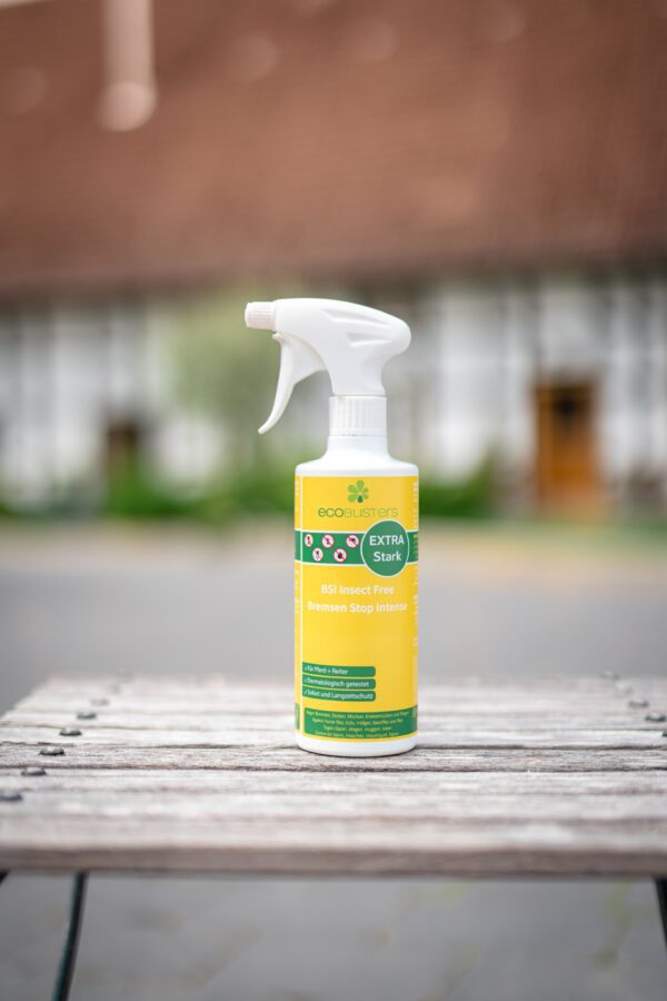 BremsenStop Intense Spray