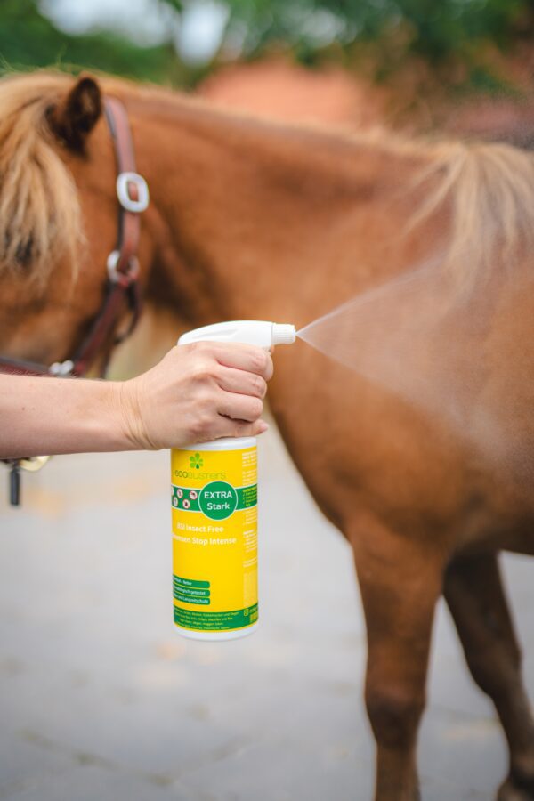 BremsenStop Intense Spray