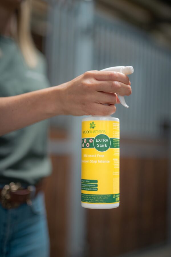 BremsenStop Intense Spray