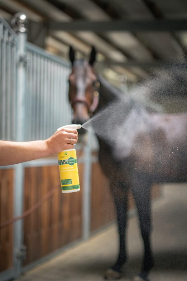 BremsenStop Intense Spray